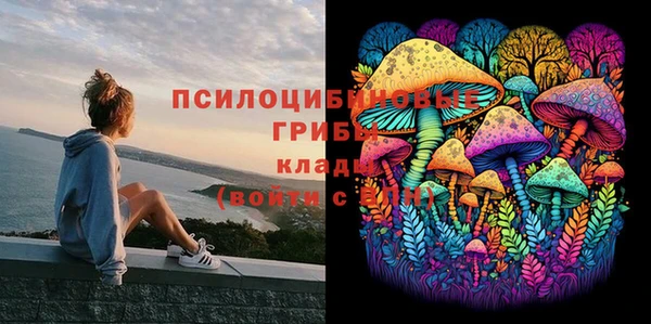 трава Протвино