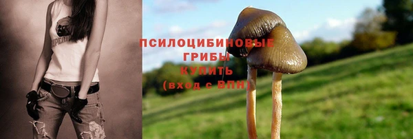 трава Протвино
