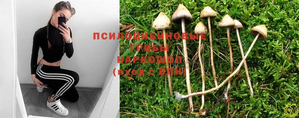 скорость Приозерск