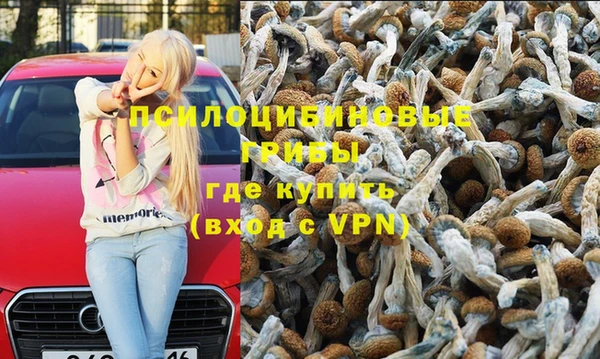 скорость Приозерск