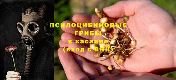тгк Россошь