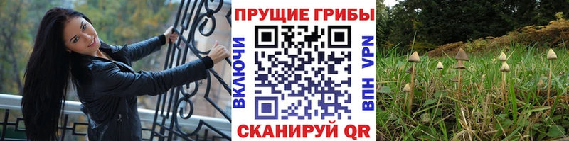 Галлюциногенные грибы мухоморы  Купить где  Киржач 