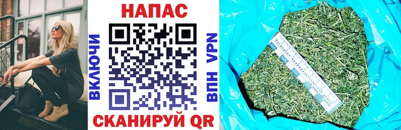 Купить где  Киржач  Каннабис тримм 